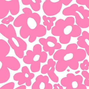 Meet your Posher, Anri